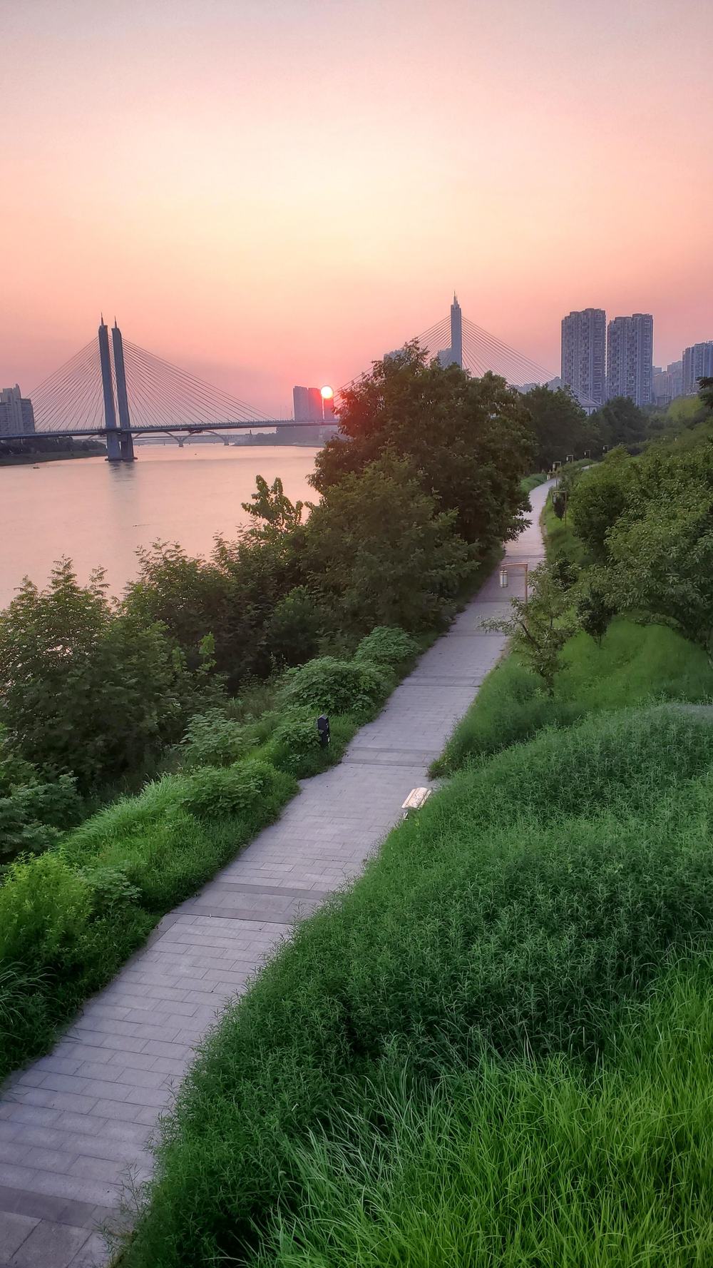 益陽資江河畔黃昏實景，遠處大橋同高樓天際線